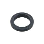 OEM SEAL RING 29874