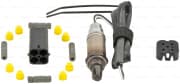 OEM Oxygen Sensor 0258005729