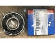 OEM BEARING 63042RSH