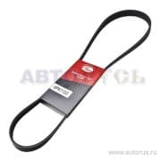 OEM BELT, V 6PK1153