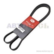 OEM BELT, V 5PK1645