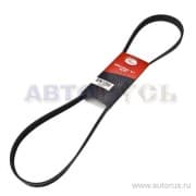 OEM BELT, V 6PK1250