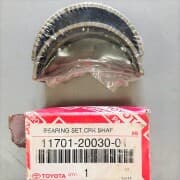 OEM BEARING SET, 117012003001