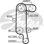 OEM BELT, V 5565XS