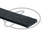 OEM BELT, V 6PK1555