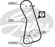 OEM AR-SYNCHRONOUS BELTS 5308XS