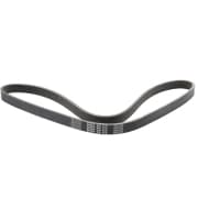 OEM BELT, V 5PK1025