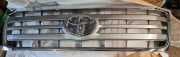 OEM GRILLE SUB-ASSY 5310160360