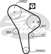 OEM AR-SYNCHRONOUS BELTS 5176