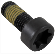 OEM BOLT, METAL 1713793