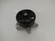 OEM WATER PUMP GWN101A