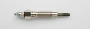 OEM SPARK PLUG DG174