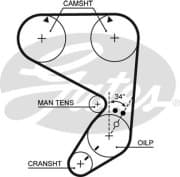 OEM AR-SYNCHRONOUS BELTS 5022