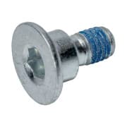 OEM LOCKING SCREW 05560