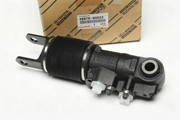 OEM CYLINDER ASSY, PNEUMATIC 4887660022