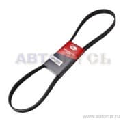 OEM BELT, V 6PK1310