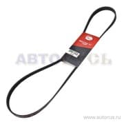 OEM BELT, V 5PK1303