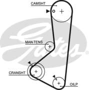 OEM AR-SYNCHRONOUS BELTS 5256XS