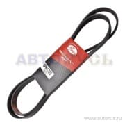 OEM BELT, V 6PK1725