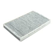 OEM CABIN FILTER TSP0325189C