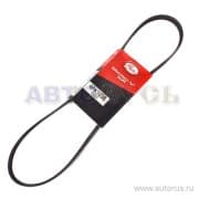 OEM BELT, V 4PK1038