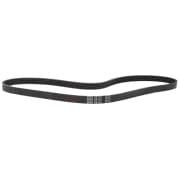 OEM BELT, V 5PK1145