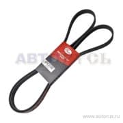 OEM BELT, V 6PK2100