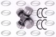 OEM BEARING KIT GUT21