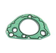 OEM GASKET LVG100330