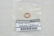 OEM GASKET NOZZLE 1662543G00