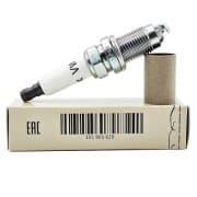 OEM SPARK PLUG 101905620