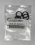 OEM GASKET RUBBER SEAL 166188H800