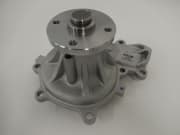 OEM WATER PUMP GWIS56A