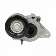 OEM TENSIONER ASSY, PULLEY 119555X00E