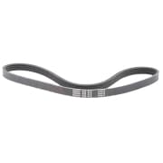 OEM BELT, V 4PK810