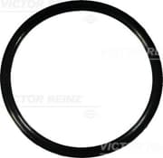 OEM O Ring 407636700