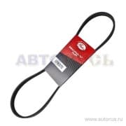 OEM BELT, V 5PK970