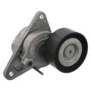 OEM TENSIONER ASSY, PULLEY 19405