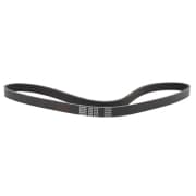 OEM BELT, V 5PK980