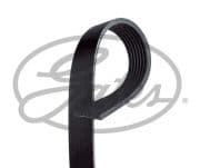 OEM BELT, V 7PK2120