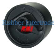 OEM ENG.BUSHING E54,E55 A/T FR M0907RM