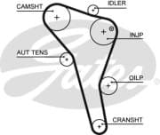 OEM AR-SYNCHRONOUS BELTS 5622XS