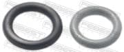 OEM GASKET RUBBER SEAL FDCPFOCIII