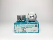 OEM PISTON, WITH PIN 43282050