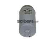 OEM FILTER ASSY, FUEL PUMP CS487