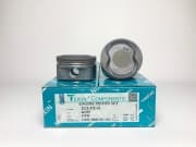 OEM PISTON ASSY 46395STD