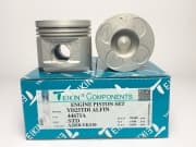 OEM PISTON ASSY 44671ASTD